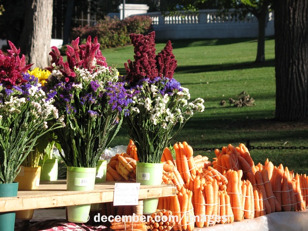 Wisconsin Capitol Farmer's Market