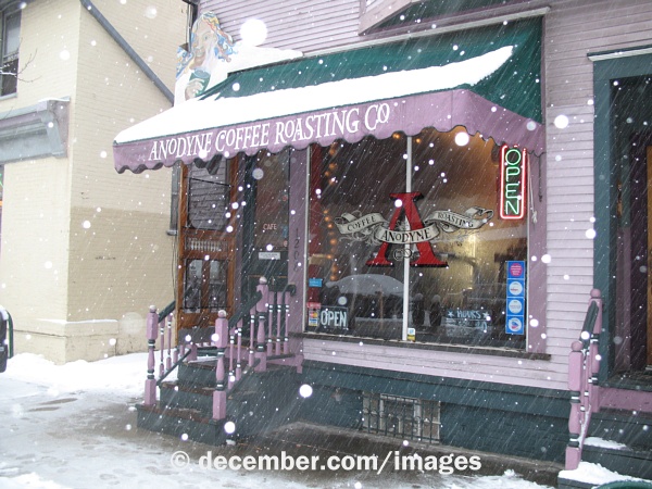 Brewed Cafe on Brady Snowstorm
