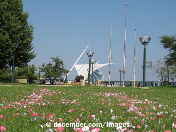 O'Donnell Park Roses O'Donnell Park Roses